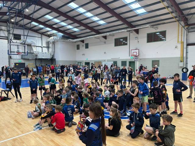 Cavan Chaos